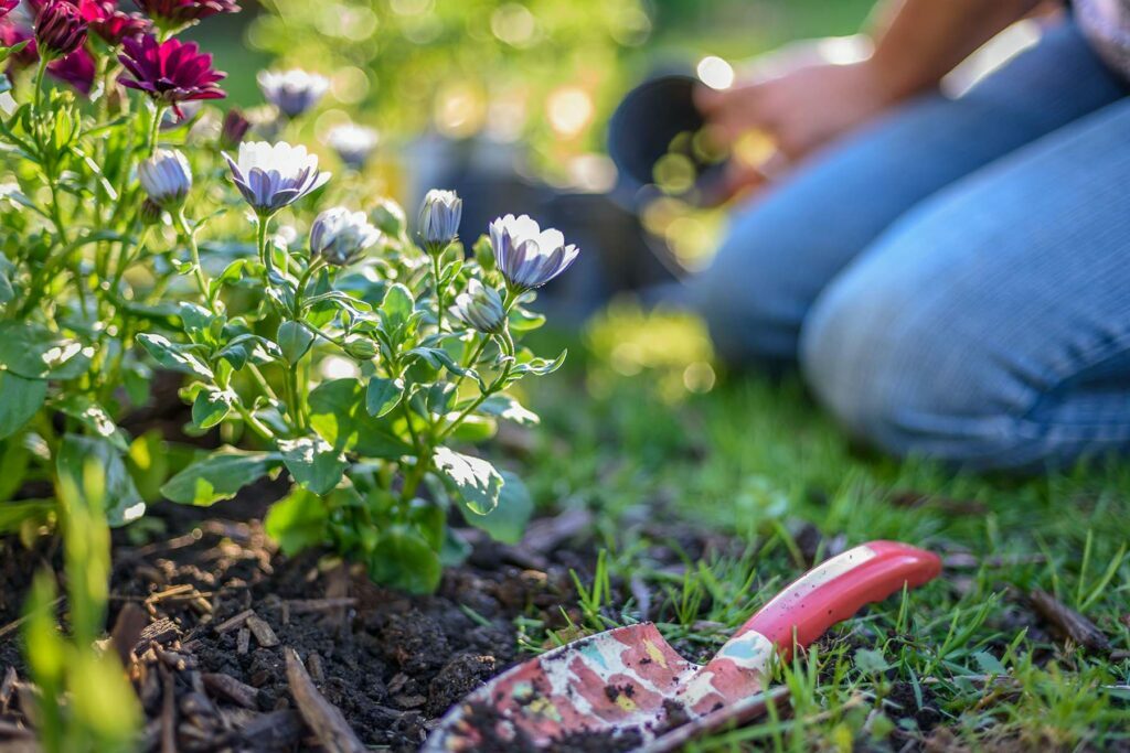 close up shot of persons spring garden